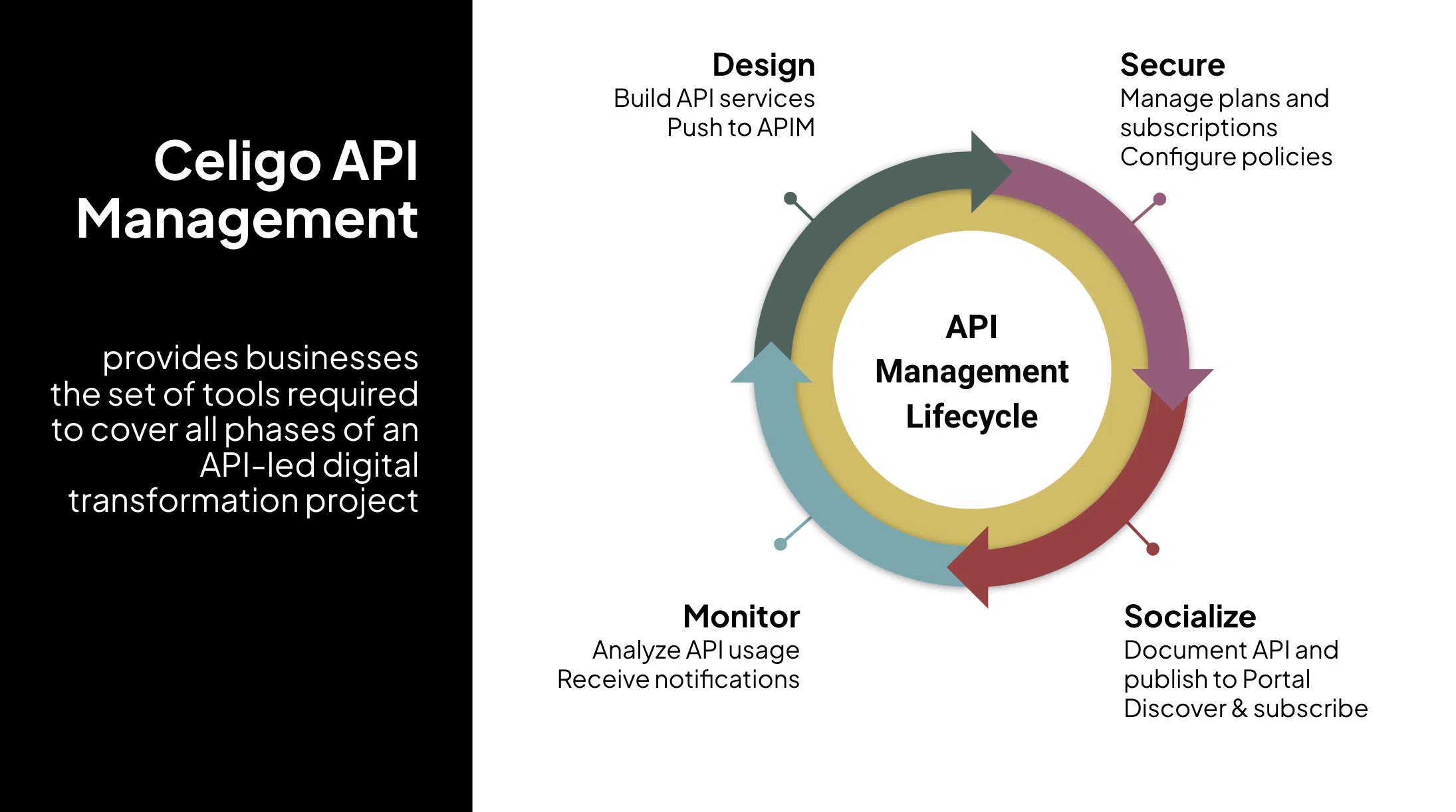 Effective API Management with Celigo